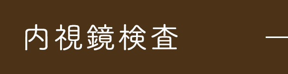 内視鏡検査
